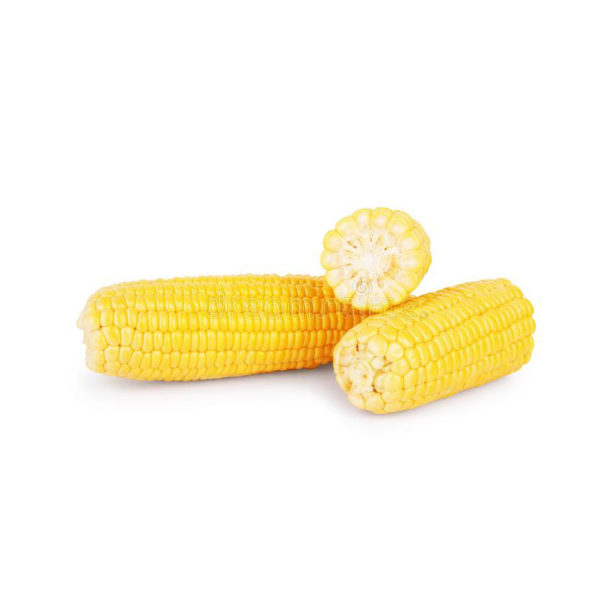 Corn